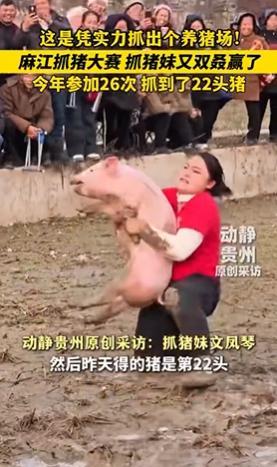 女子参加抓猪大赛屡战屡赢