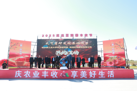 黑龙江一大片蔓越莓红色海洋