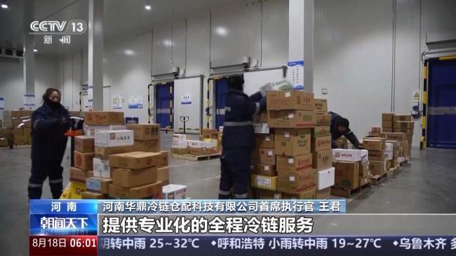 我国冷链物流运行上半年数据出炉