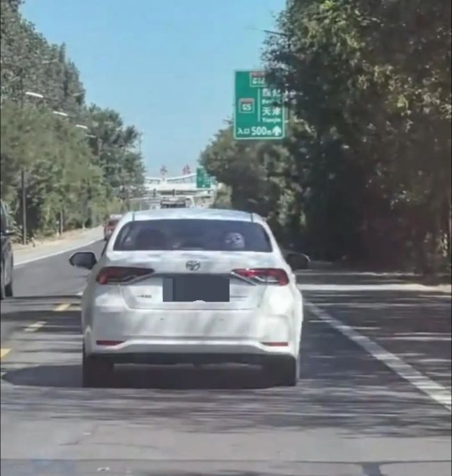 小车后挡惊现鬼脸，律师称违规，警方回应