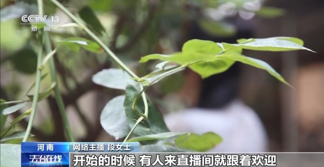 不擦边要赔50万?离家30年想继承遗产?法院判了