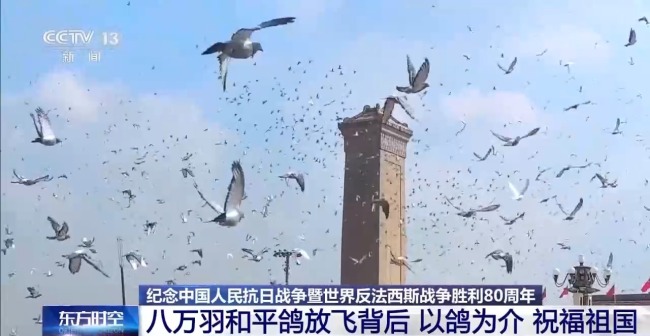 8万羽和平鸽在天安门放飞 背后藏着这些真挚祝福
