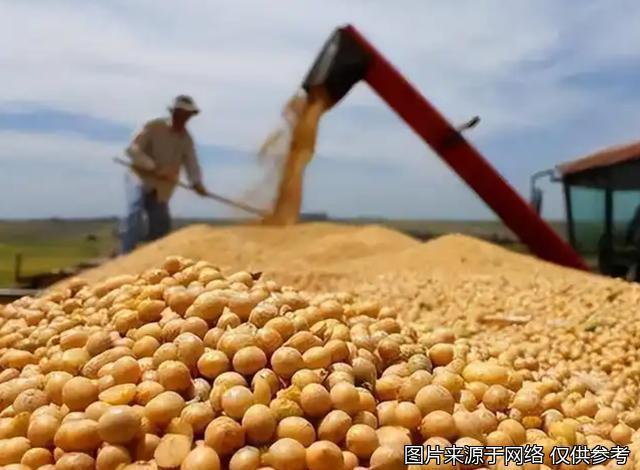 美国大豆为何失去了中国市场