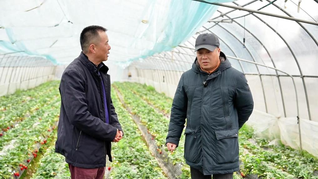 两会精神看落实·基层善治新篇丨把老百姓的“金点子”变成荷包里的“金果子”