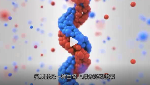 过劳肥与皮质醇有什么联系?皮质醇有什么用及如何稳定皮质醇