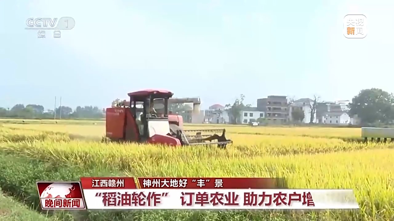 稻浪翻滚、瓜果飘香 神州大地好“丰”景