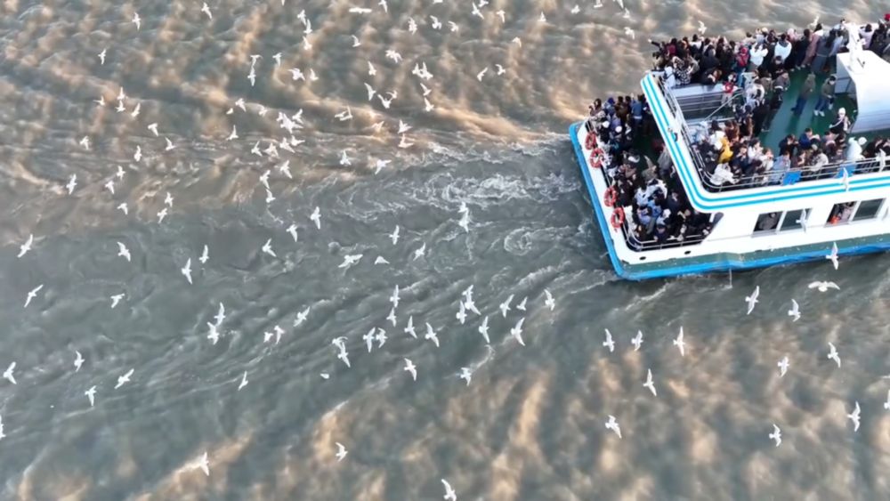 新华视点｜生态绘新卷 各地绘就绿色发展好风光