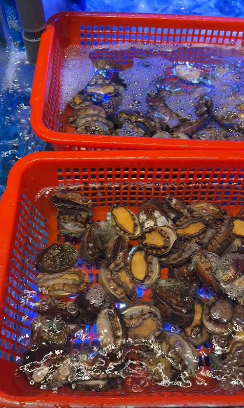 食客可即捞活虾及鲍鱼。
