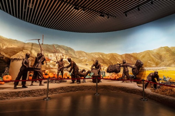 【高质量发展看陕西】喜望稻菽千层浪，“红”“绿”交响南泥湾