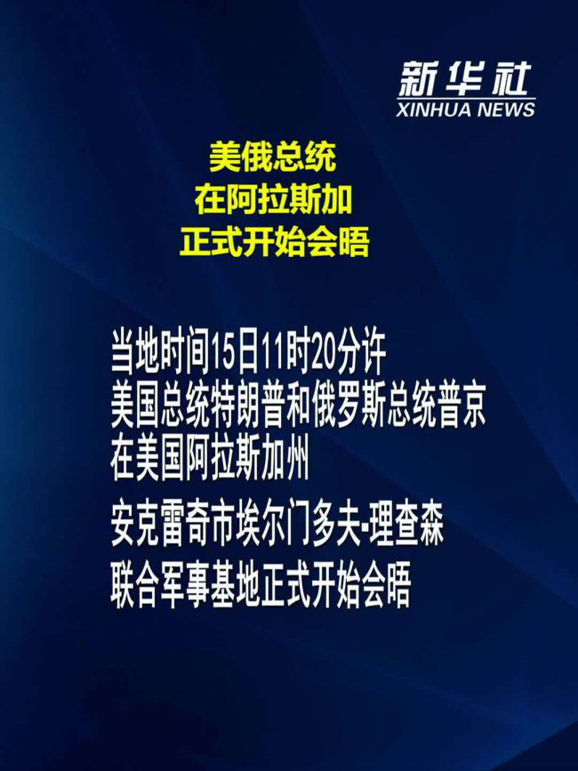 美俄阿拉斯加峰会对德国意味着啥