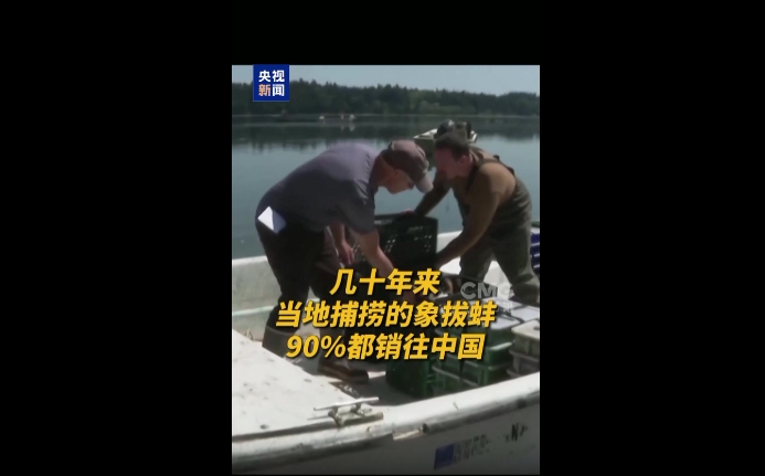 视频截图