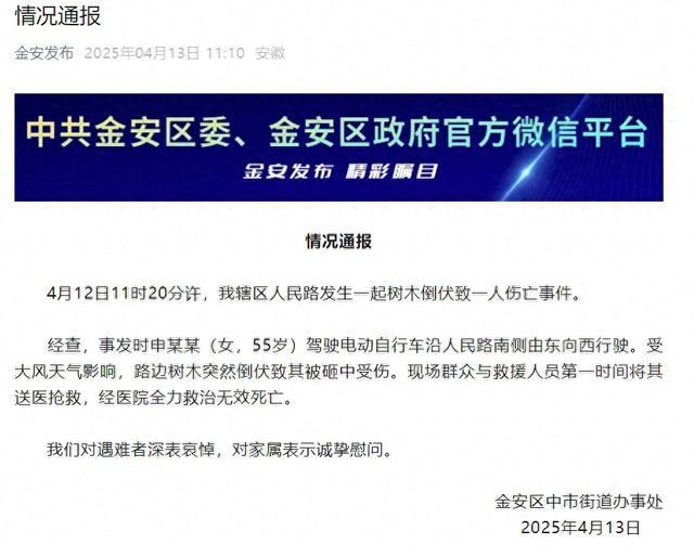 女子被树砸中身亡