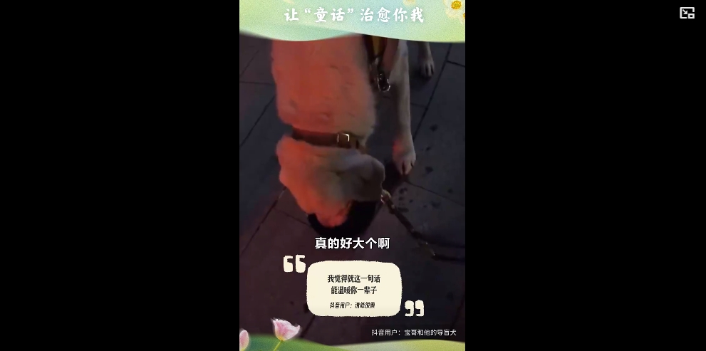 星火成炬 ｜ 让“童话”治愈你我