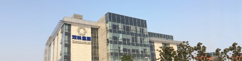 双林集团