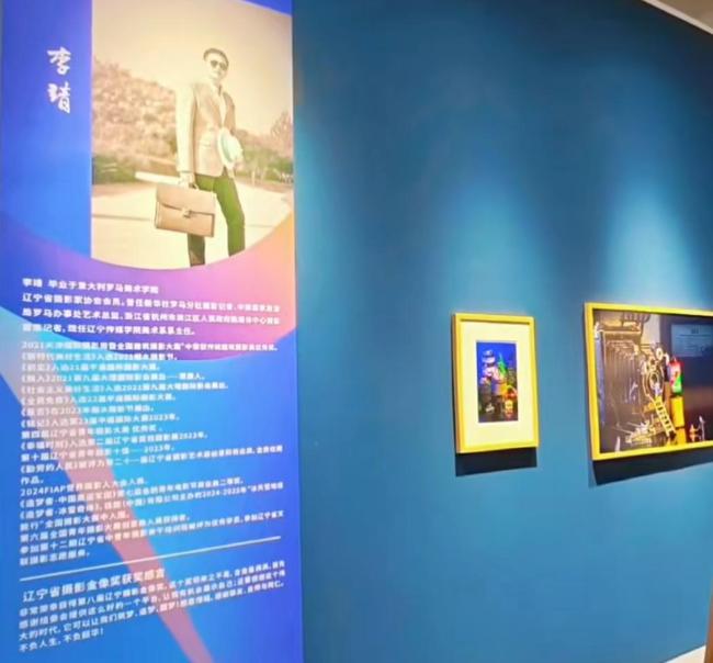 李靖抄袭 荣誉被收回