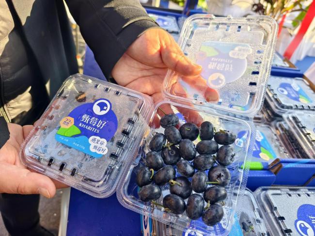 云南今年首批国产蓝莓进京上市