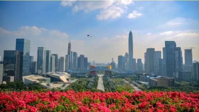 图片来源:南方+客户端 图片来源:南方+客户端