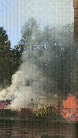 11岁女孩发现火灾救了一个村 冷静报警防大火