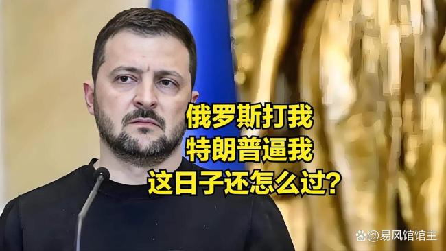 泽连斯基能挺过抗议危机吗