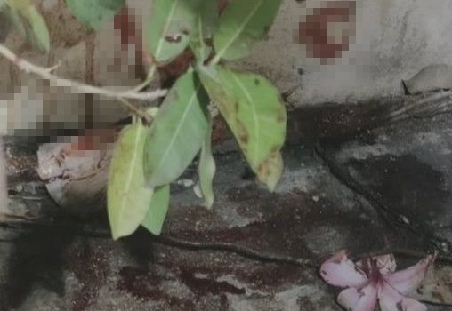 发现婴儿的位置。