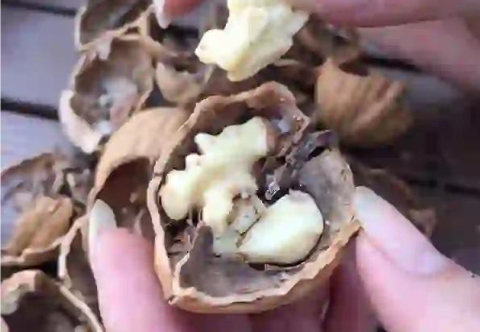 每天早餐加一物,全身炎症、癌症风险都降低!