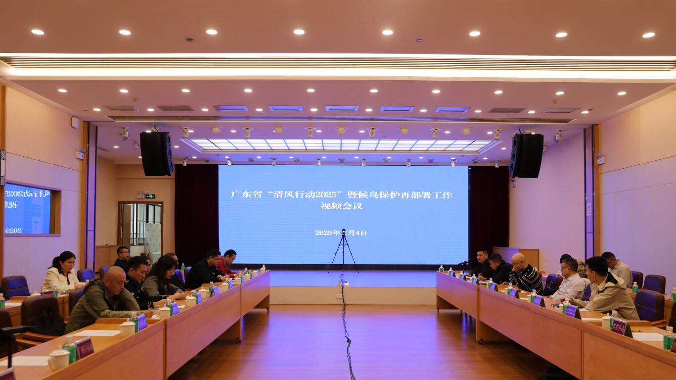 广东省“清风行动2025 暨候鸟保护再部署工作视频会议（通讯员供图）