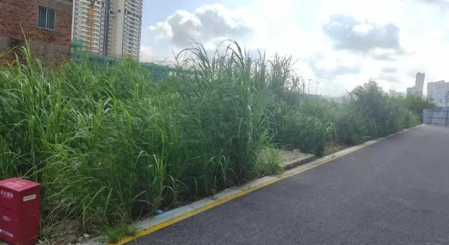 南宁一小区业主跟物业彼此起诉