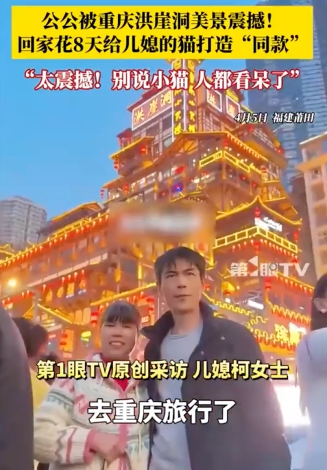 主人给猫咪复刻出重庆洪崖洞