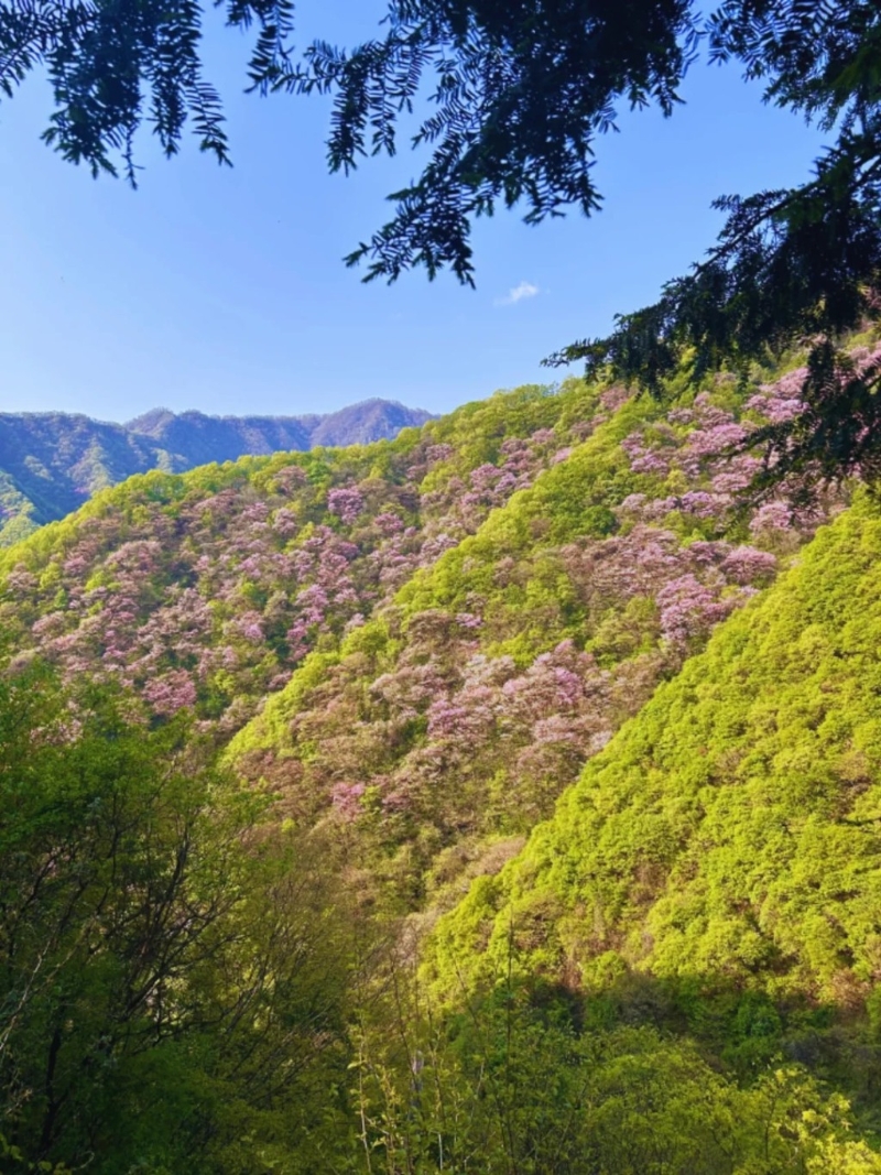 西寺沟 西寺沟