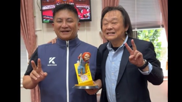 蓝绿另类和解？