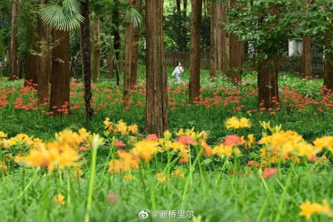 冷空气控场了!浙江大雨暴雨、10级雷雨大风!最高温仅28℃