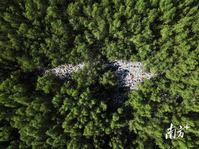 2025年6月25日,培隆沙滩旁的红树林,大片海漂垃圾覆盖红树林根部。 2025年6月25日,培隆沙滩旁的红树林,大片海漂垃圾覆盖红树林根部。