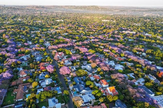 G20峰会首次在非洲大陆举行