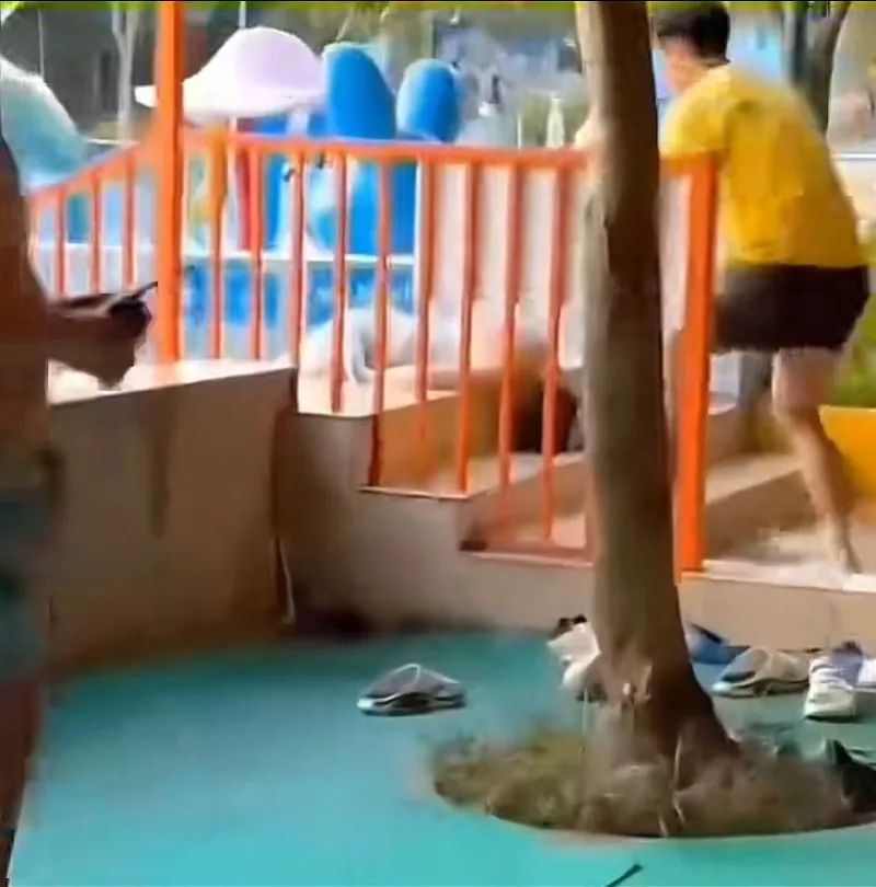 视频截图