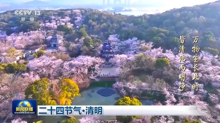 文化中国行丨二十四节气·清明 梨花风起正清明