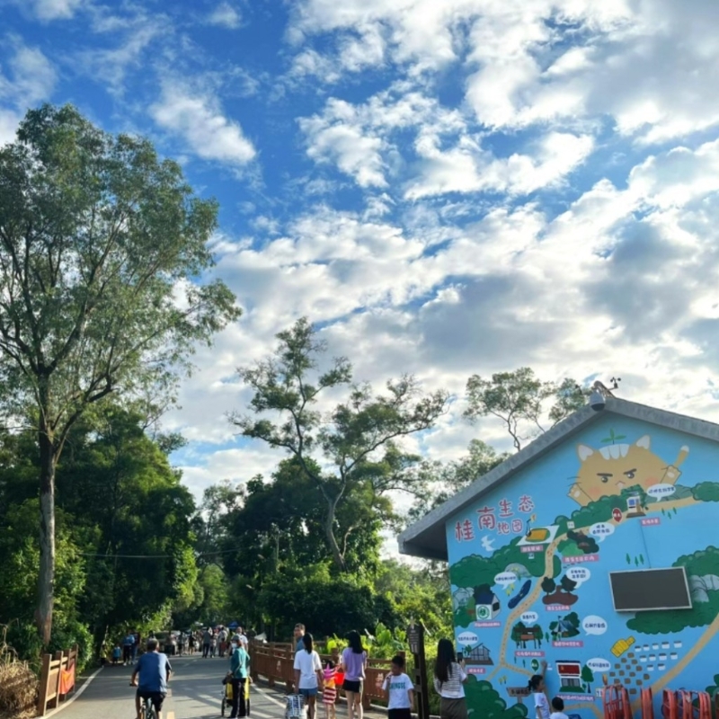 中山亲子旅游2025｜1. 桂南村 从马溪牌坊进入桂南村，可以轻鬆浏览农村风光。（图片来源：小红书＠蛋卷）