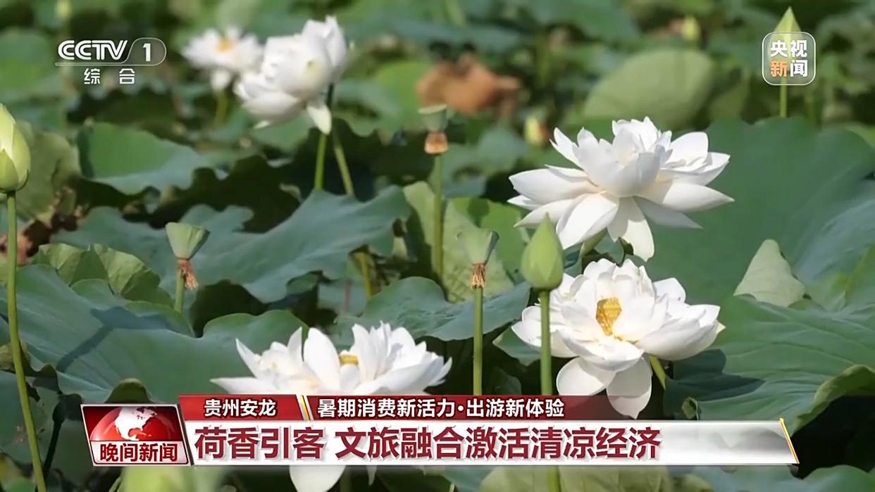 够清凉够丰富!更好玩、更好逛的“暑期游”来了