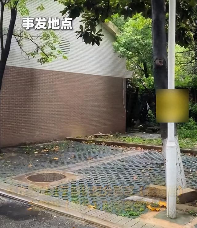 ѧڱɱӷ