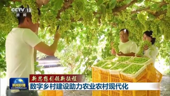 数字乡村建设助力农业农村现代化