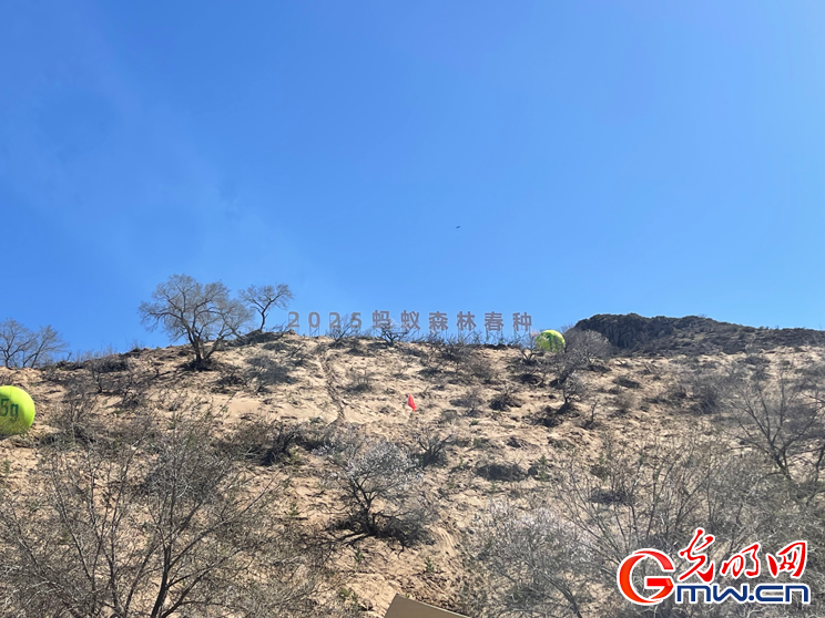 “云种树”变成真森林 蚂蚁森林种下第6亿棵树