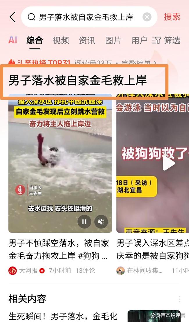 男子落水被金毛救上岸