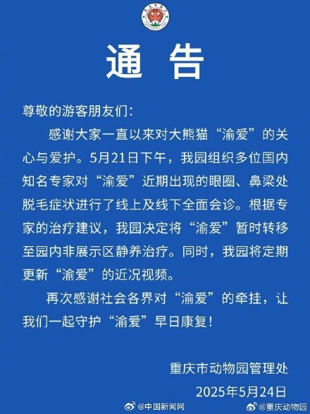 大熊猫渝爱转移至非展示区静养治疗