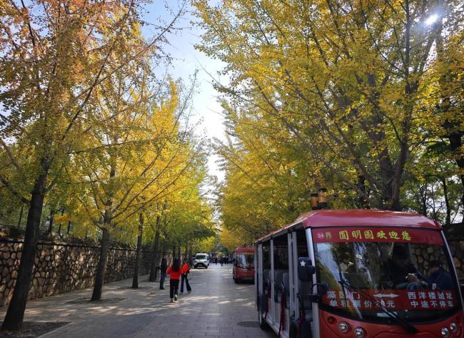 北京今年为何冷得这么“超前”