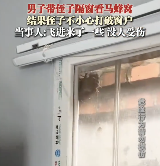 男子带侄子隔窗看马蜂窝打破窗户