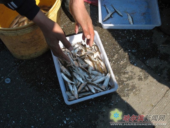 哈尔滨渔政人员销毁违规网具