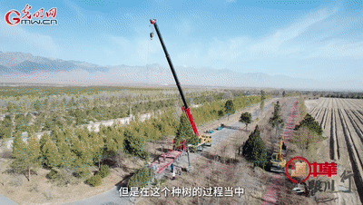 从“卖石头”到“种春天”,两代人的绿色接力 从“卖石头”到“种春天”,两代人的绿色接力