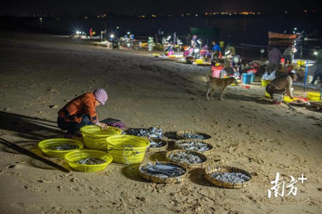 纪实拍摄海口最原生态小渔村