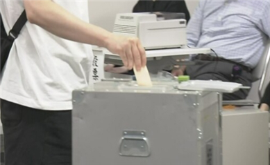 日本东京都议会选举进行投票