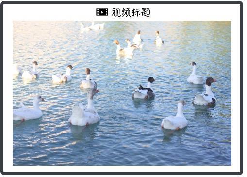 “关税大限”将至 美国又变了
