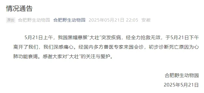 通报 通报